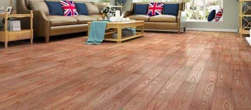 裝修材料選了這種,弄得屋里都是蟲子